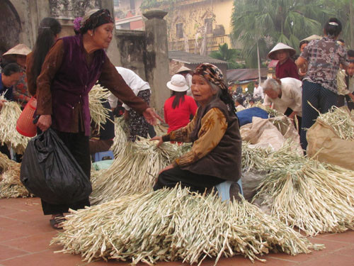 Phiên chợ Chuông nào cũng có hình ảnh của bà cụ Sang bên đốn lá nón. Khách mua hàng của cụ trong 50 năm qua là những người quen trong làng.