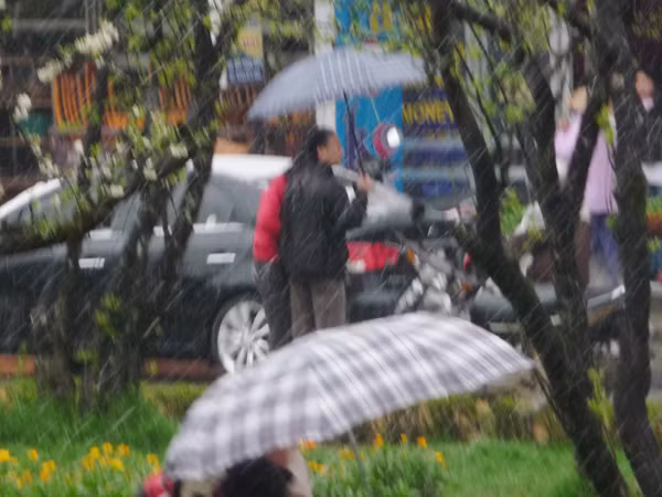 Tuyết rơi bất thường tại Sapa ảnh 9