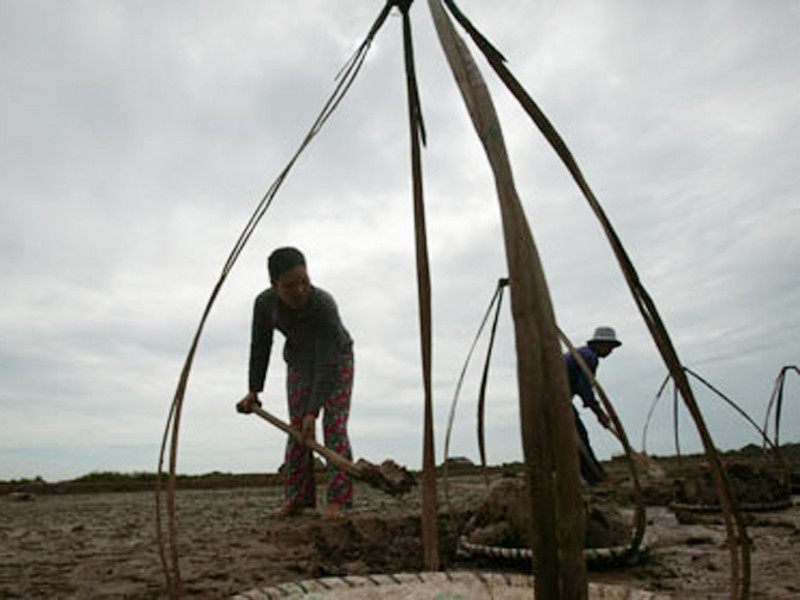 người phụ nữ tần tảo, lam lũ thường dễ thấy ở khắp vùng miền Tây Nam bộ - Ảnh: Hoài Linh