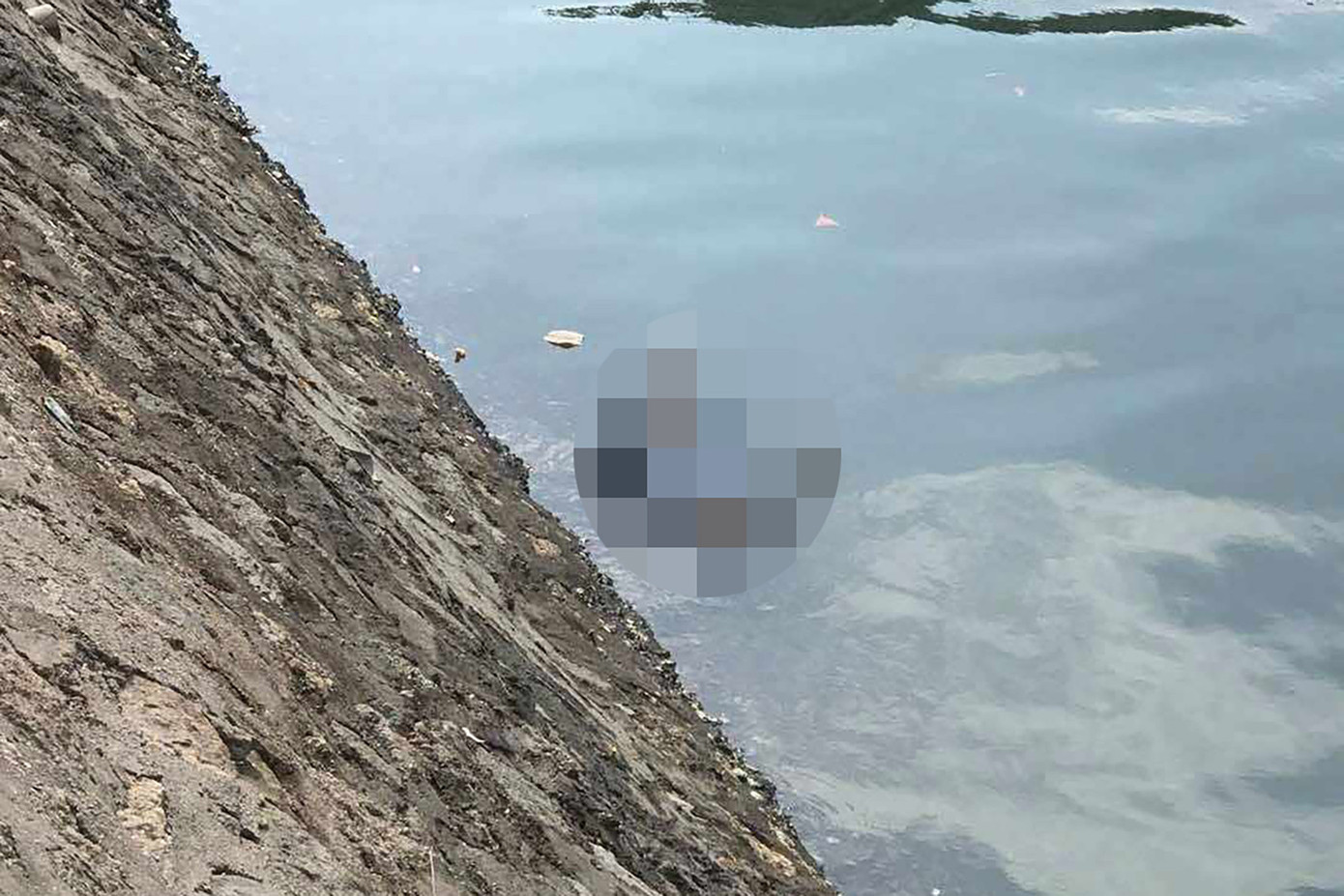 Hiện trường nơi phát hiện ra thi thể bà cụ nổi trên mương nước. Ảnh: CTV