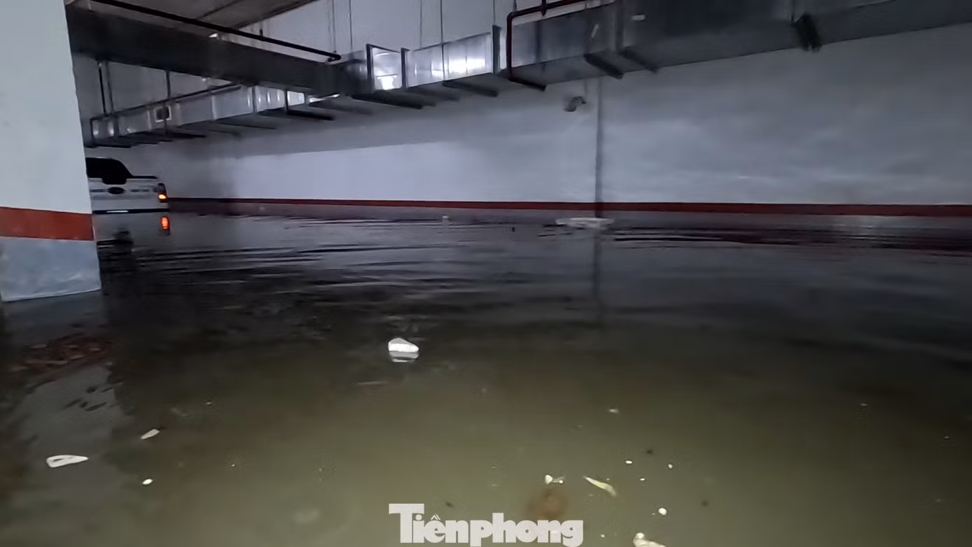 Sau trận mưa, toàn bộ tầng hầm số một của chung cư bị ngập khiến một chiếc bán tải bị mắc kẹt bên trong.