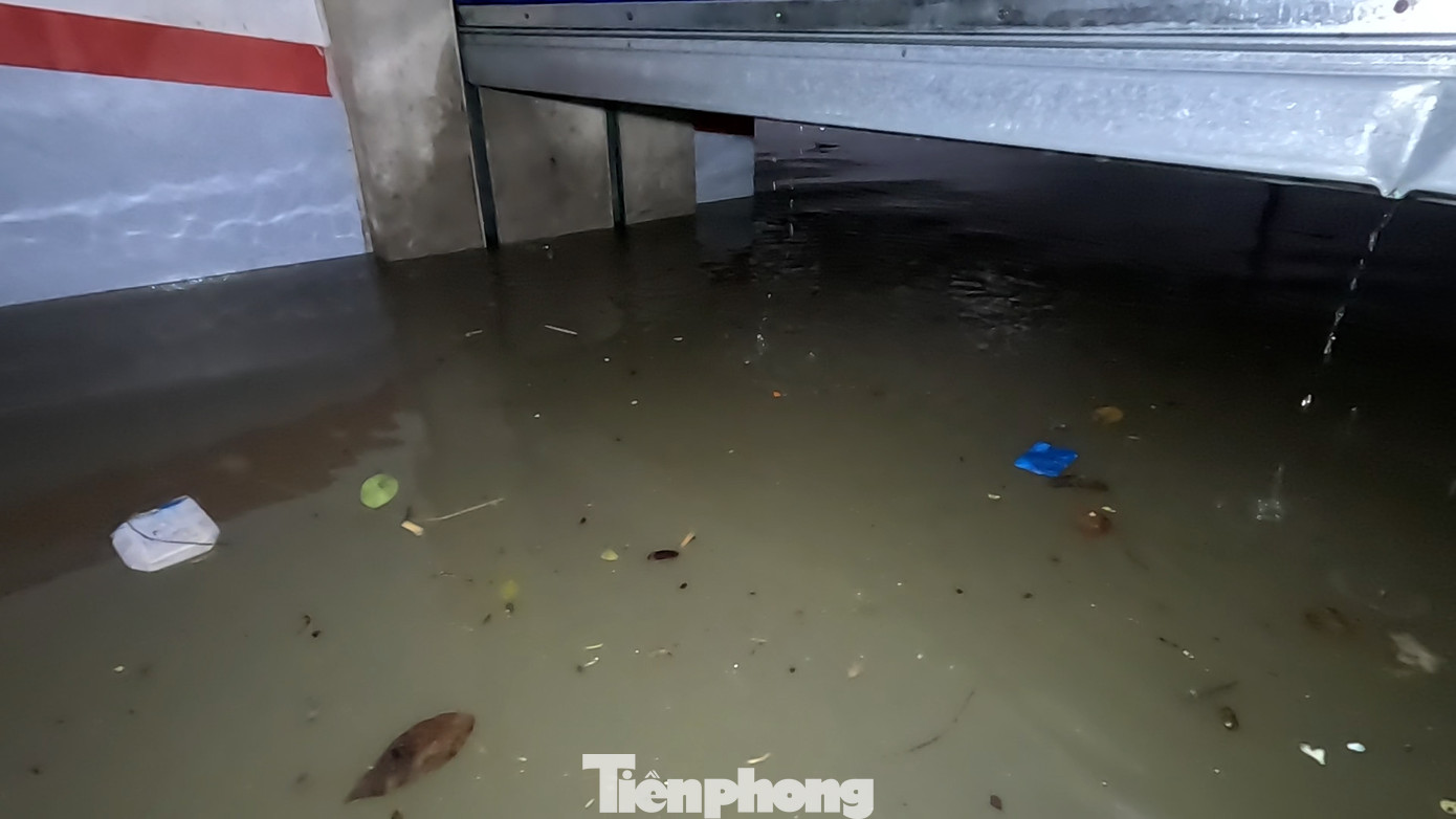 Sau một hồi loay hoay tìm cách, cánh cửa ngăn xuống tầng hầm số một mở ra được một đoạn rồi lại mắc kẹt.