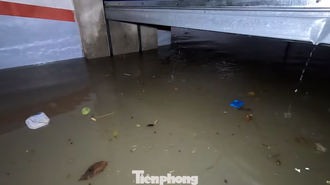 Sau một hồi loay hoay tìm cách, cánh cửa ngăn xuống tầng hầm số một mở ra được một đoạn rồi lại mắc kẹt.