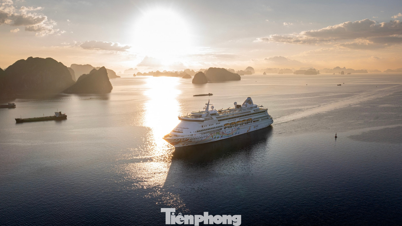 Tuyến du lịch tàu biển Bắc Hải - Hạ Long từng hoạt động sôi động trong vòng 10 năm, bắt đầu từ năm 1998. Tuy nhiên, sau đó tuyến này dừng hoạt động vì nhiều lý do. Việc khai thông trở lại chuyến tàu biển từ Bắc Hải đến Hạ Long cho thấy sự nỗ lực cao nhất của chính quyền các cấp, sở, ban, ngành, đơn vị liên quan của tỉnh Quảng Ninh (Việt Nam) và Khu tự trị dân tộc Choang Quảng Tây (Trung Quốc).