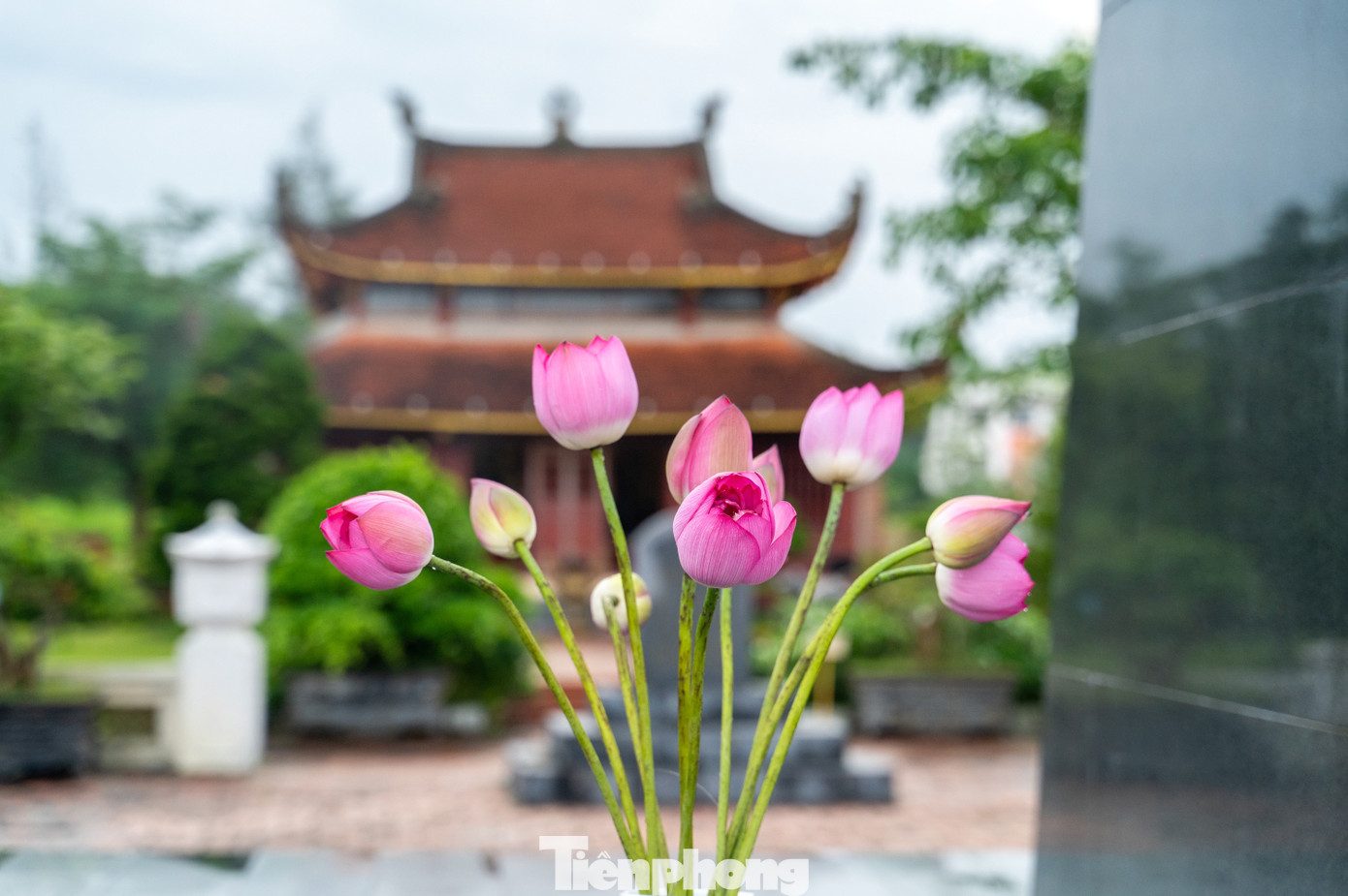 Ngày 18/1/2022, Khu lưu niệm Chủ tịch Hồ Chí Minh trên đảo Cô Tô đã được Thủ tướng Chính phủ công nhận là Di tích quốc gia đặc biệt, là niềm vinh dự, tự hào đối với nhân dân, cán bộ và chiến sĩ trên huyện Cô Tô cũng như tỉnh Quảng Ninh.