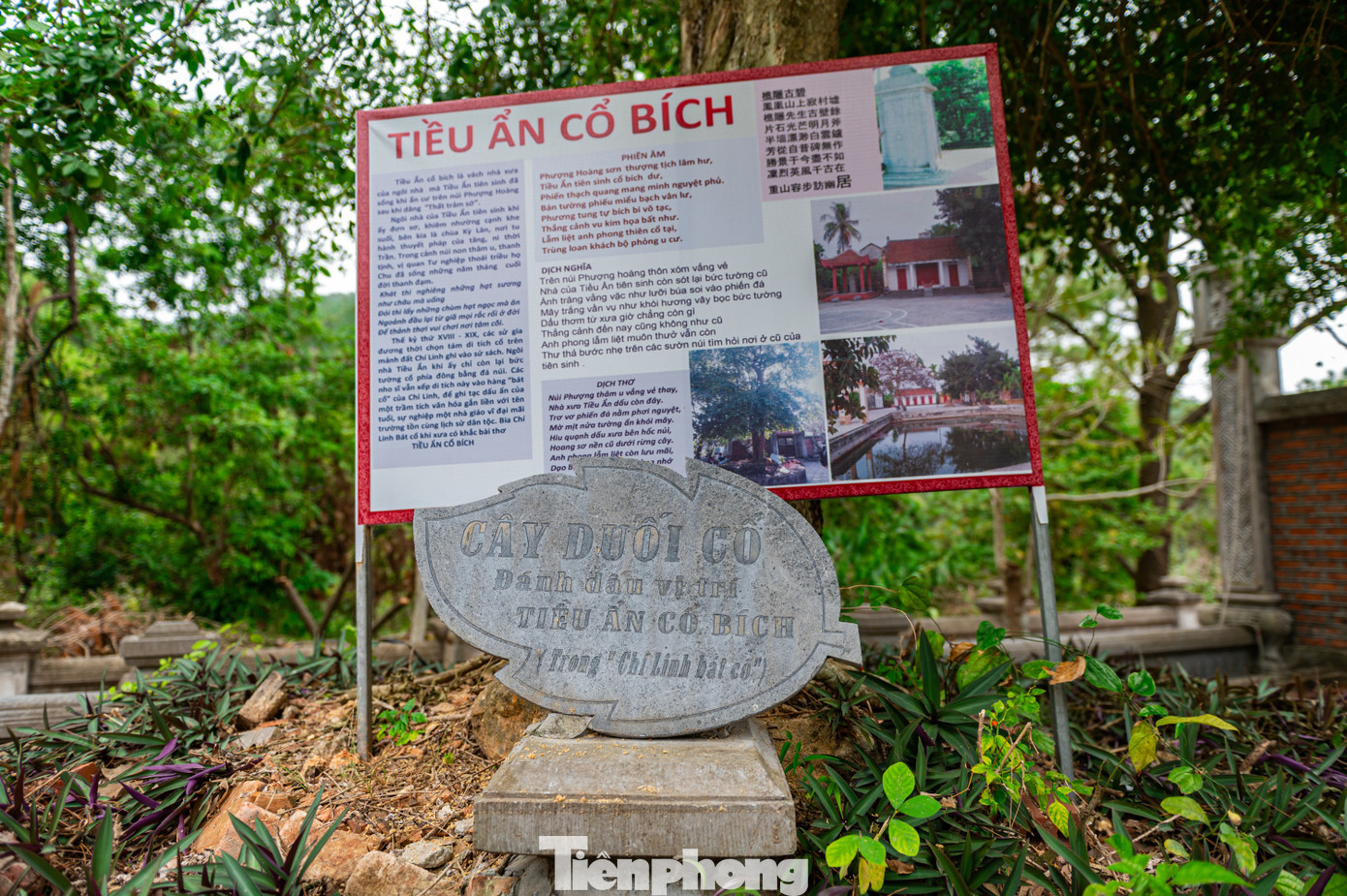 Ngay phía cửa chính vào đền là cây duối cổ đánh dấu nằm cạnh vách nhà xưa của ngôi nhà mà thầy giáo Chu Văn An đã sống khi ẩn cư trên núi Phượng Hoàng. Ngoài ra, đền còn lưu giữ bia đá “Chu Văn An hành trạng” dựng vào năm Tự Đức thứ 10 (1857). Bia được tạc theo phong cách tạo hình thời Nguyễn, chạm cánh sen cách điệu, kích thước 100x52x16 cm với khoảng 1.200 chữ.