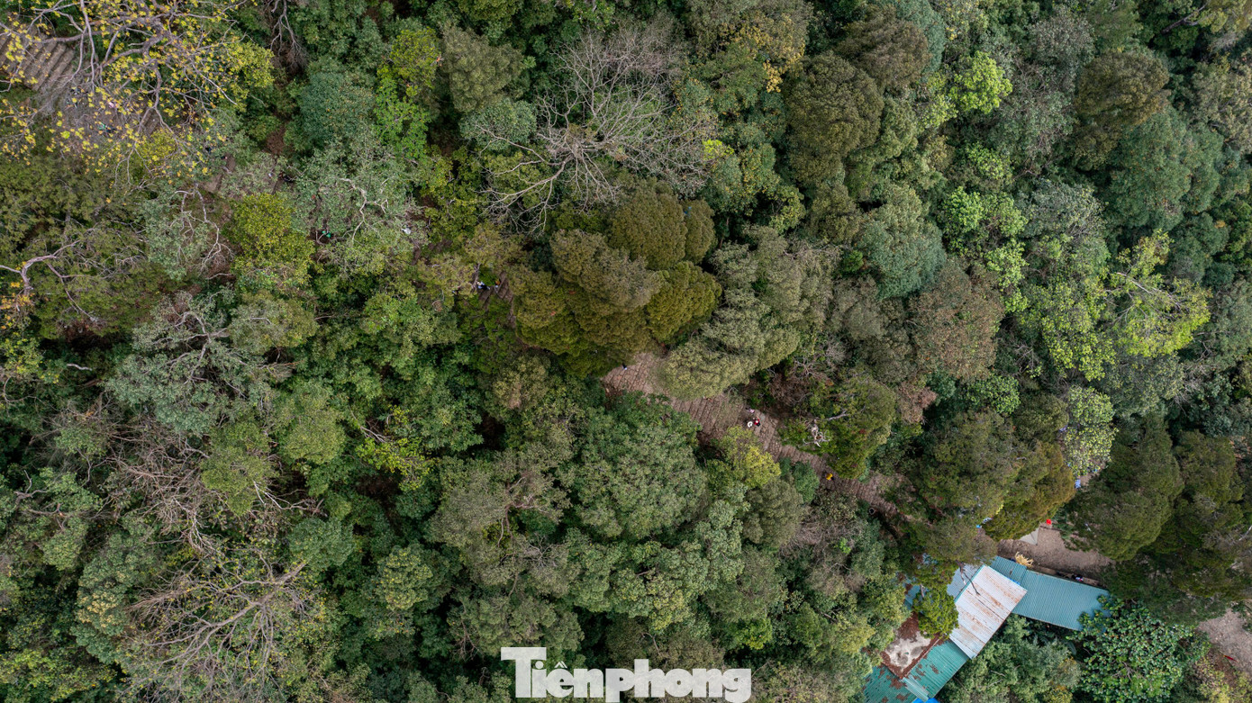 Điểm đặc biệt của giải leo núi là cung đường được thiết kế băng qua những khu rừng cổ kính, đồi dốc, đường Tùng cổ hơn 700 năm tuổi và nhiều điểm di tích tâm linh quan trọng gắn với Thiền phái Trúc Lâm. Điểm đặc biệt của giải leo núi là cung đường được thiết kế băng qua những khu rừng cổ kính, đồi dốc, đường Tùng cổ hơn 700 năm tuổi và nhiều điểm di tích tâm linh quan trọng gắn với Thiền phái Trúc Lâm.