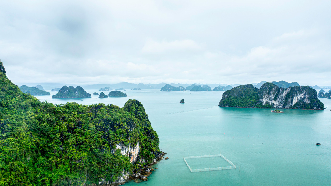 Ngoài ra, đặc khu Vân Đồn sở hữu vịnh Bái Tử Long được tỉnh Quảng Ninh định hướng phát triển thành trung tâm du lịch biển đảo mới của Quảng Ninh với các địa danh nổi tiếng như Ngọc Vừng, Quan Lạn, Minh Châu, Thắng Lợi... Tháng 3/2025 vừa qua, tỉnh Quảng Ninh chính thức khai trương tuyến tham quan vịnh Bái Tử Long xuất phát từ Đặc Khu Vân Đồn đi các điểm như hòn Mèo May Mắn, đảo Bản Se, hang Nhà Trò, hang Phất Cờ, khu nuôi trồng ngọc (hòn Đá Đen), đảo Minh Châu, bãi tắm Cái Lim, điểm neo đậu nghỉ đêm Máng Hà…