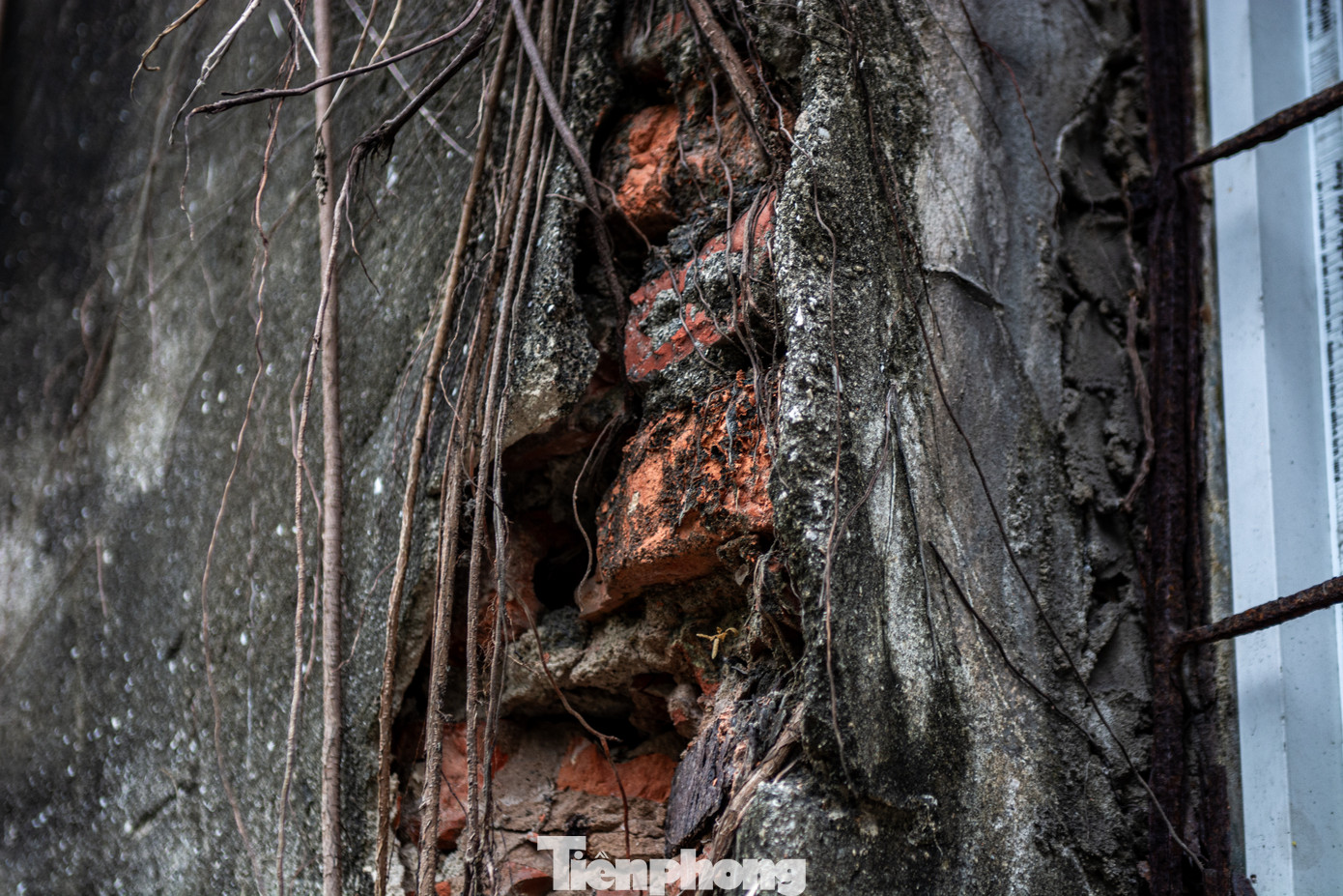 Phần tường ngoài trời bao quanh khu chung cư này nhiều chỗ bong tróc hở cả gạch bên trong.