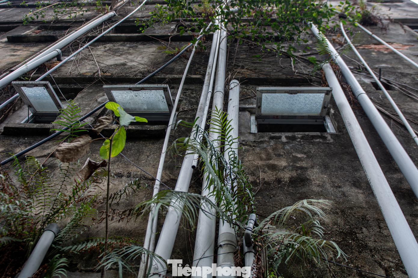 Do hạ tầng bên trong có tuổi đời hàng chục năm đã hư hỏng hoàn toàn nên người dân phải cải tạo bằng cách nối ống nước và đi dây điện chằng chịt xung quanh tòa nhà.