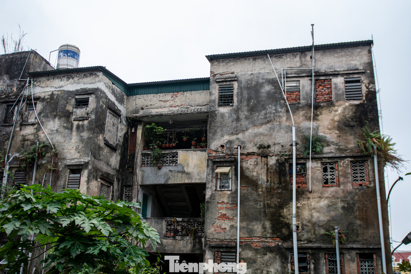 Theo kế hoạch, chính quyền TP sẽ tổ chức di dời người dân ra khỏi khu chung cư 5 tầng Bạch Long, 4 tầng sau Trường THPT Hòn Gai và 2 tầng mỏ than Hà Tu và không xây dựng lại chung cư mới. Diện tích đất sau khi phá dỡ chung cư cũ sẽ để phục vụ lợi ích cộng đồng làm bãi đỗ xe, khu vui chơi...