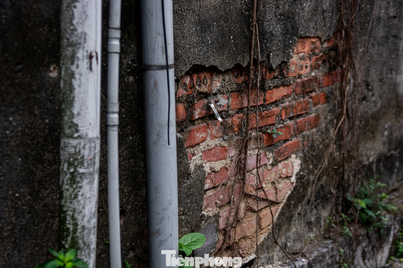 Phần tường ngoài trời bao quanh khu chung cư này nhiều chỗ bong tróc hở cả gạch bên trong.