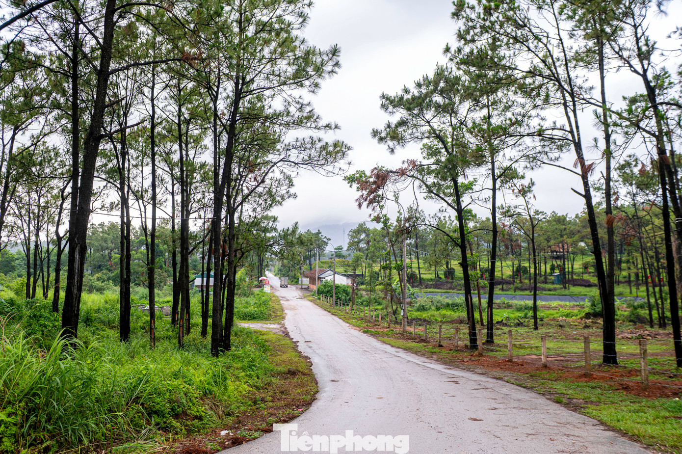 Phía Bắc của hồ là dãy đồi núi cao có tên gọi là Con Xà (đồi rắn) chạy song song với dãy Yên Tử. Bờ phía Nam là những đồi thấp hơn nên rất tiện lợi cho việc đi lại của du khách đến nghỉ, tham quan phong cảnh của hồ.