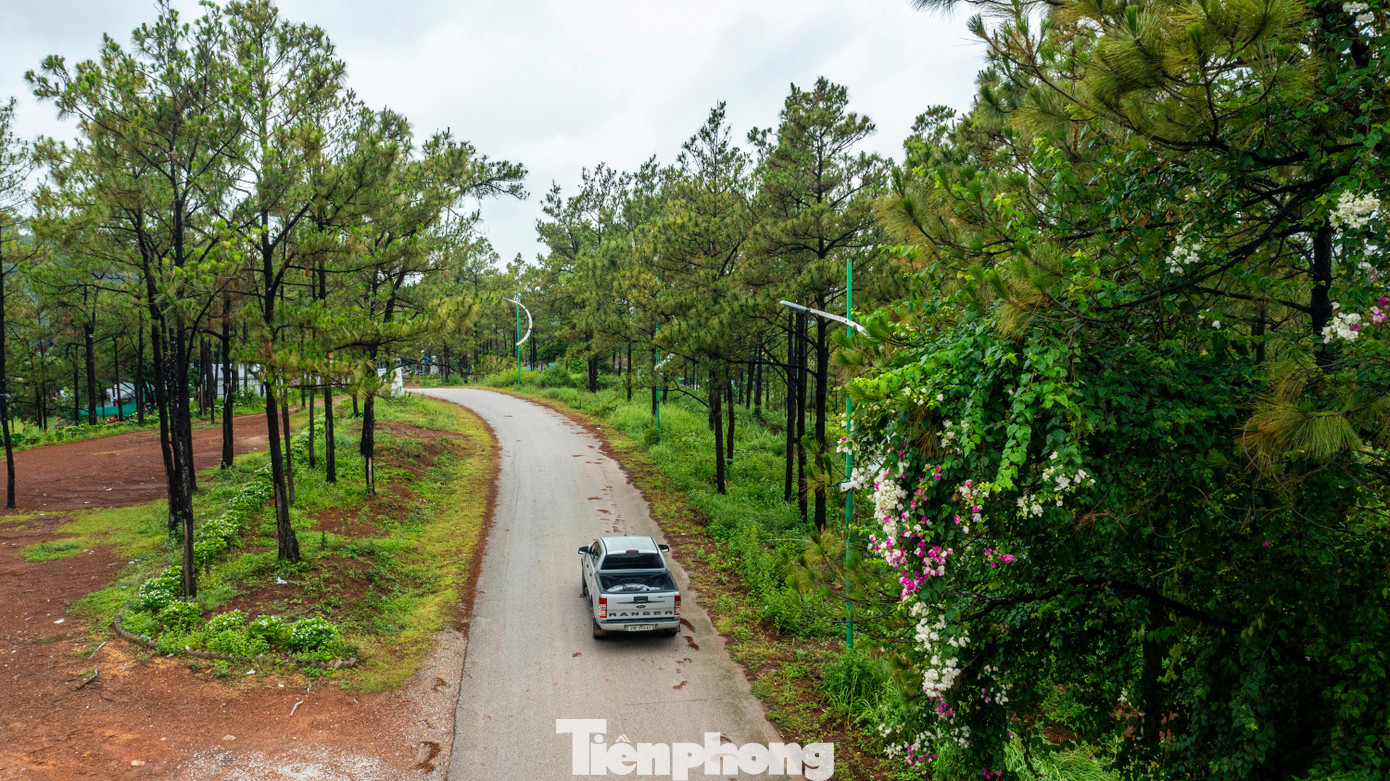 Đường đến hồ khá thuận tiện, có biển chỉ dẫn rõ ràng. Con đường dẫn vào hồ Yên Trung trập trùng những cánh rừng bạch đàn và thông mã vĩ cao vút xanh mướt trải dài, xua tan cái nóng nực của thời tiết, nên khi đặt chân đến đây, du khách sẽ có cảm giác mát mẻ, trong lành, giống như đang ở Đà Lạt.