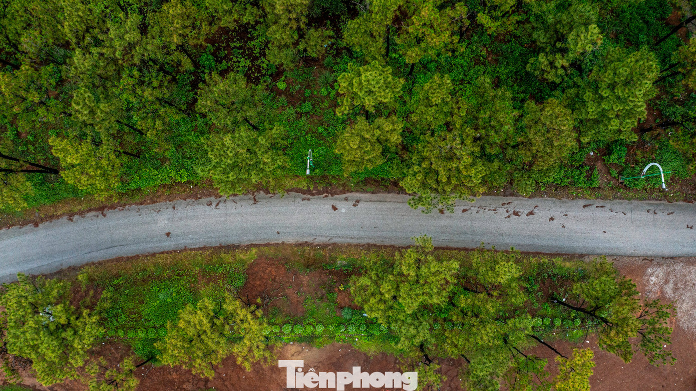 Đường đến hồ khá thuận tiện, có biển chỉ dẫn rõ ràng. Con đường dẫn vào hồ Yên Trung trập trùng những cánh rừng bạch đàn và thông mã vĩ cao vút xanh mướt trải dài, xua tan cái nóng nực của thời tiết, nên khi đặt chân đến đây, du khách sẽ có cảm giác mát mẻ, trong lành, giống như đang ở Đà Lạt.