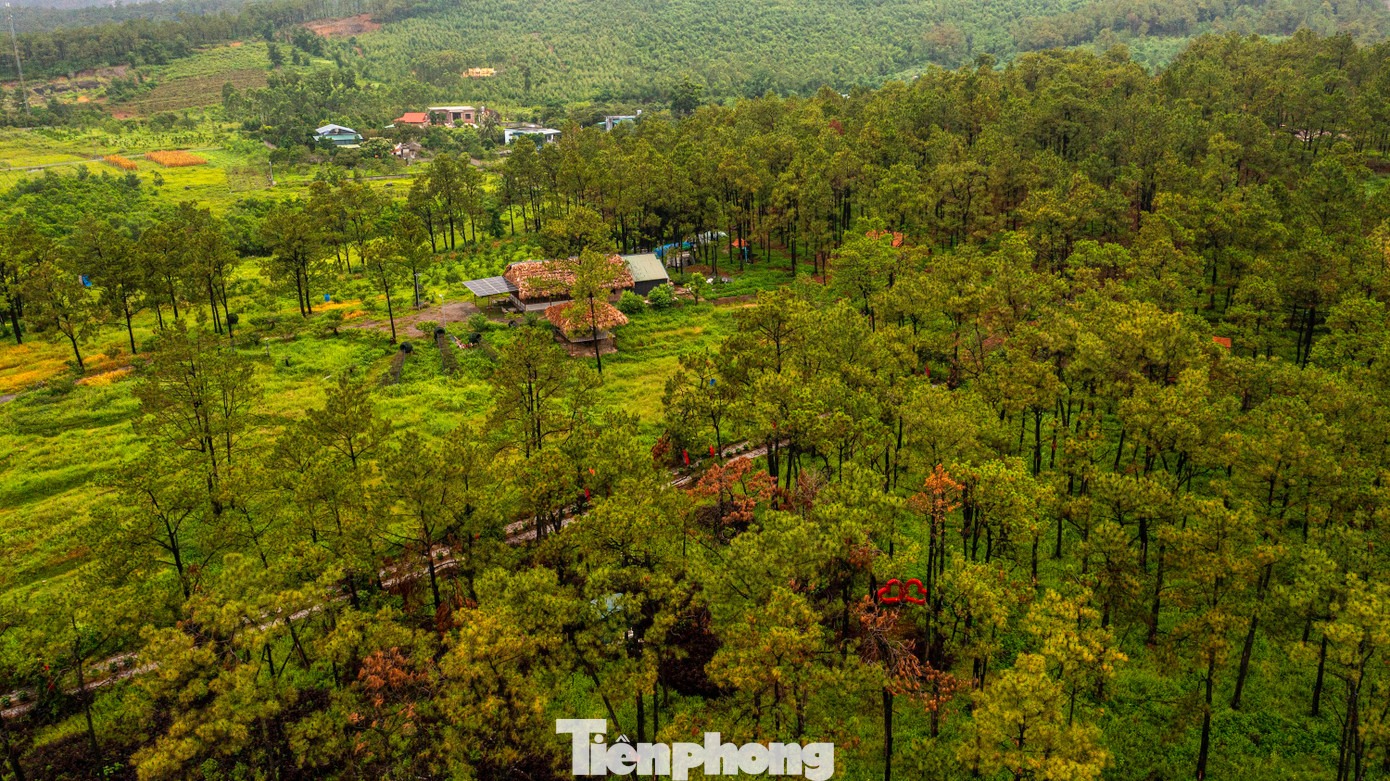 Với địa hình đa dạng, cảnh quan thiên nhiên tươi đẹp, Quảng Ninh có nhiều lợi thế để phát triển các sân golf đẳng cấp quốc tế, qua đó, góp phần thu hút khách du lịch, nhất là dòng khách cao cấp. Các sân golf sở hữu những lợi thế cảnh quan riêng biệt, tạo sự mới lạ và trải nghiệm độc đáo cho du khách, giúp hành trình chinh phục các sân golf tại Quảng Ninh hấp dẫn hơn.