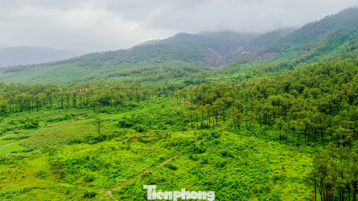 Đây là sân golf có vị trí đặc biệt khi nằm ngay khu vực rừng thông bên cạnh hồ Yên Trung.