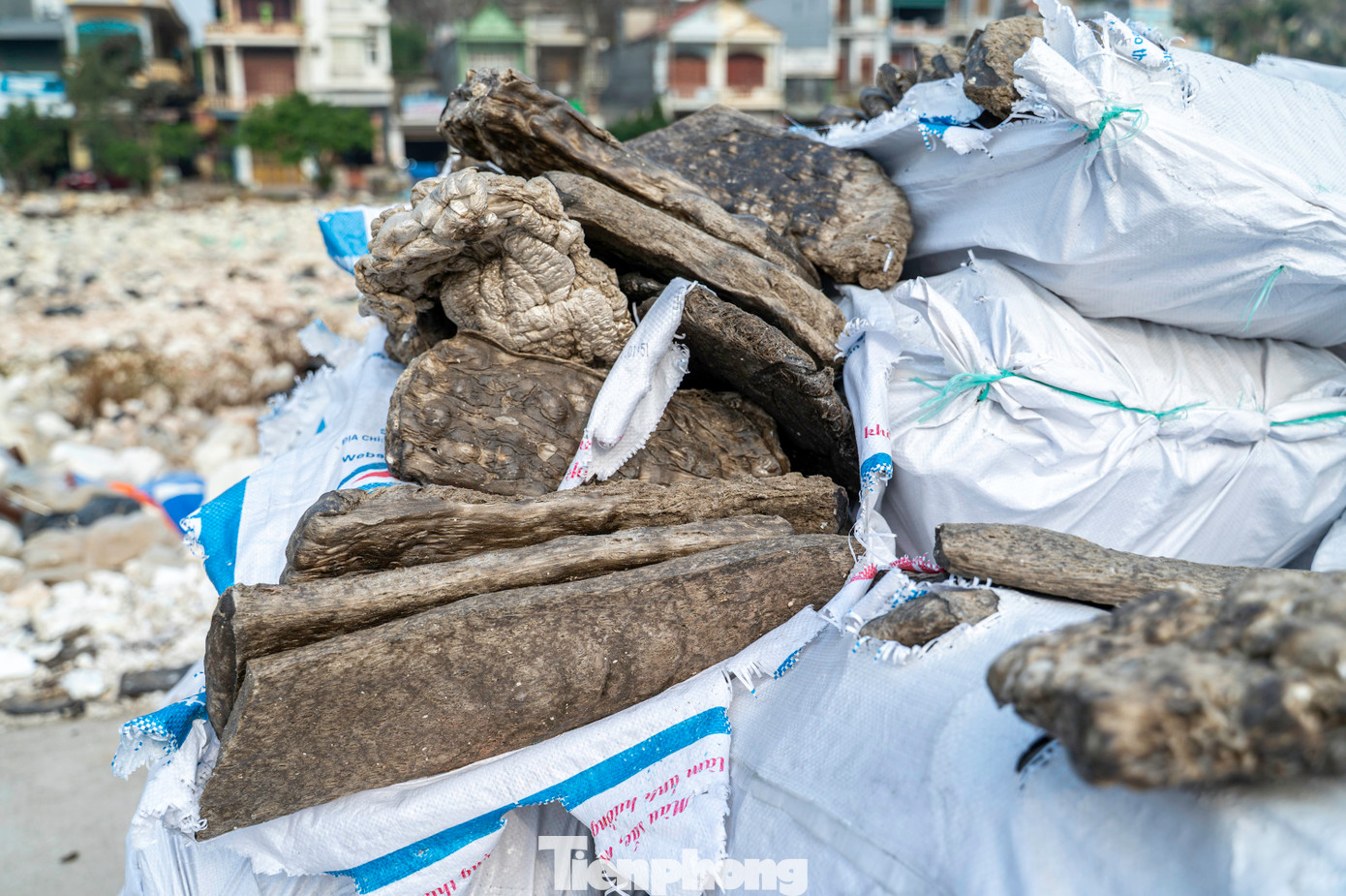 Nhưng không hiểu vì lý do gì, doanh nghiệp đang xử lý đống phao xốp thì bất ngờ tháo dỡ máy móc, nhà xưởng và bỏ lại thành phẩm đã xử lý cùng hàng đống phao xốp nằm trên khu vực bãi đất trống thuộc khuôn viên cảng.