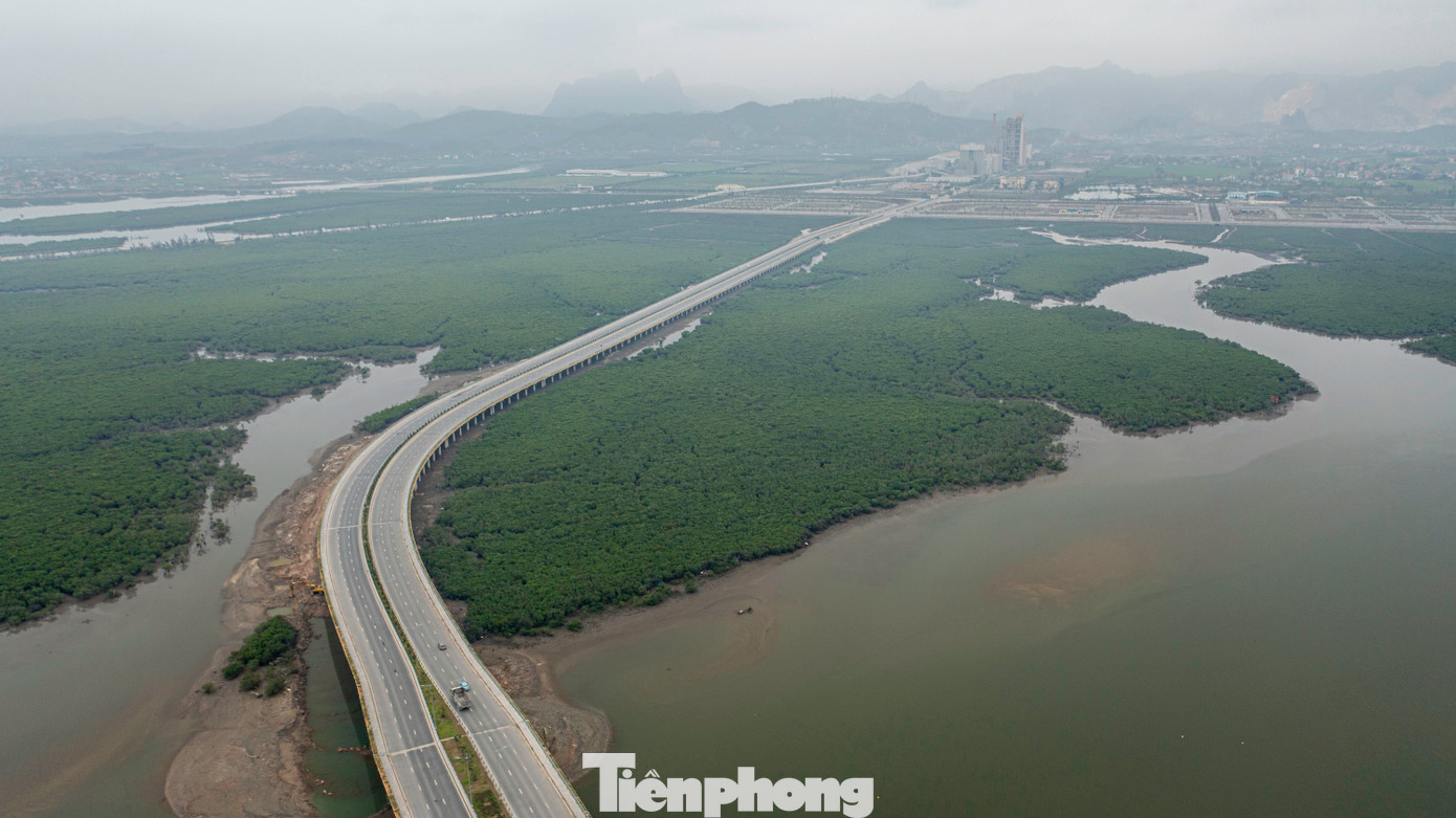 Theo đại diện thành phố Hạ Long, cầu Bình Minh có ý nghĩa to lớn khi kết nối trung tâm thành phố Hạ Long với Quốc lộ 279. Ngoài ra, đây là cây cầu đặc biệt của thành phố khi đi xuyên qua giữa rừng ngập mặn.