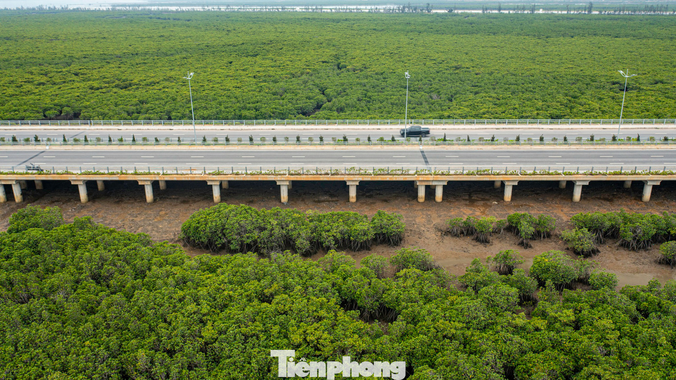Sự hiện diện của các cây cầu trên vịnh Cửa Lục sẽ tạo thêm sản phẩm du lịch mới cho TP Hạ Long; kết nối, đa dạng hóa sản phẩm du lịch, dịch vụ rừng - biển, khai thác các giá trị văn hóa bản địa giàu bản sắc, cảnh quan sinh thái đa dạng của các xã vùng cao TP Hạ Long, tạo ra những sản phẩm du lịch độc đáo, khác biệt, có sức cạnh tranh và thương hiệu.