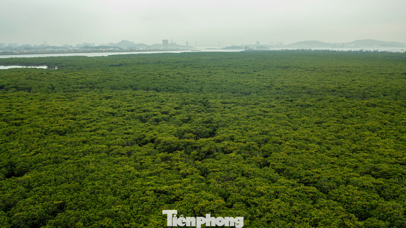 Đây là việc hiện thực hóa mục tiêu của thành phố trong việc thúc đẩy phát triển kinh tế xanh, kinh tế tuần hoàn.