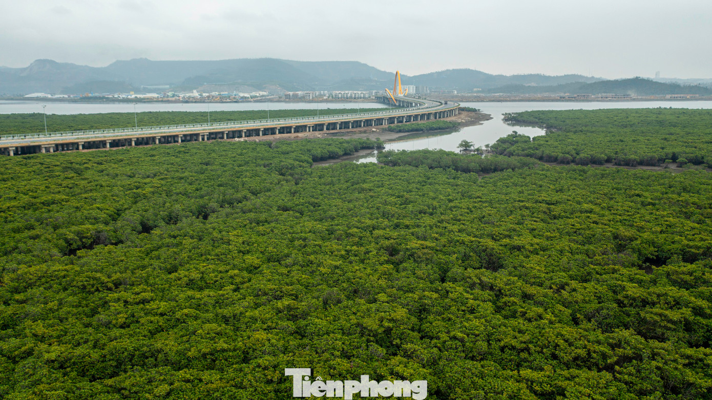 Đây là việc hiện thực hóa mục tiêu của thành phố trong việc thúc đẩy phát triển kinh tế xanh, kinh tế tuần hoàn.