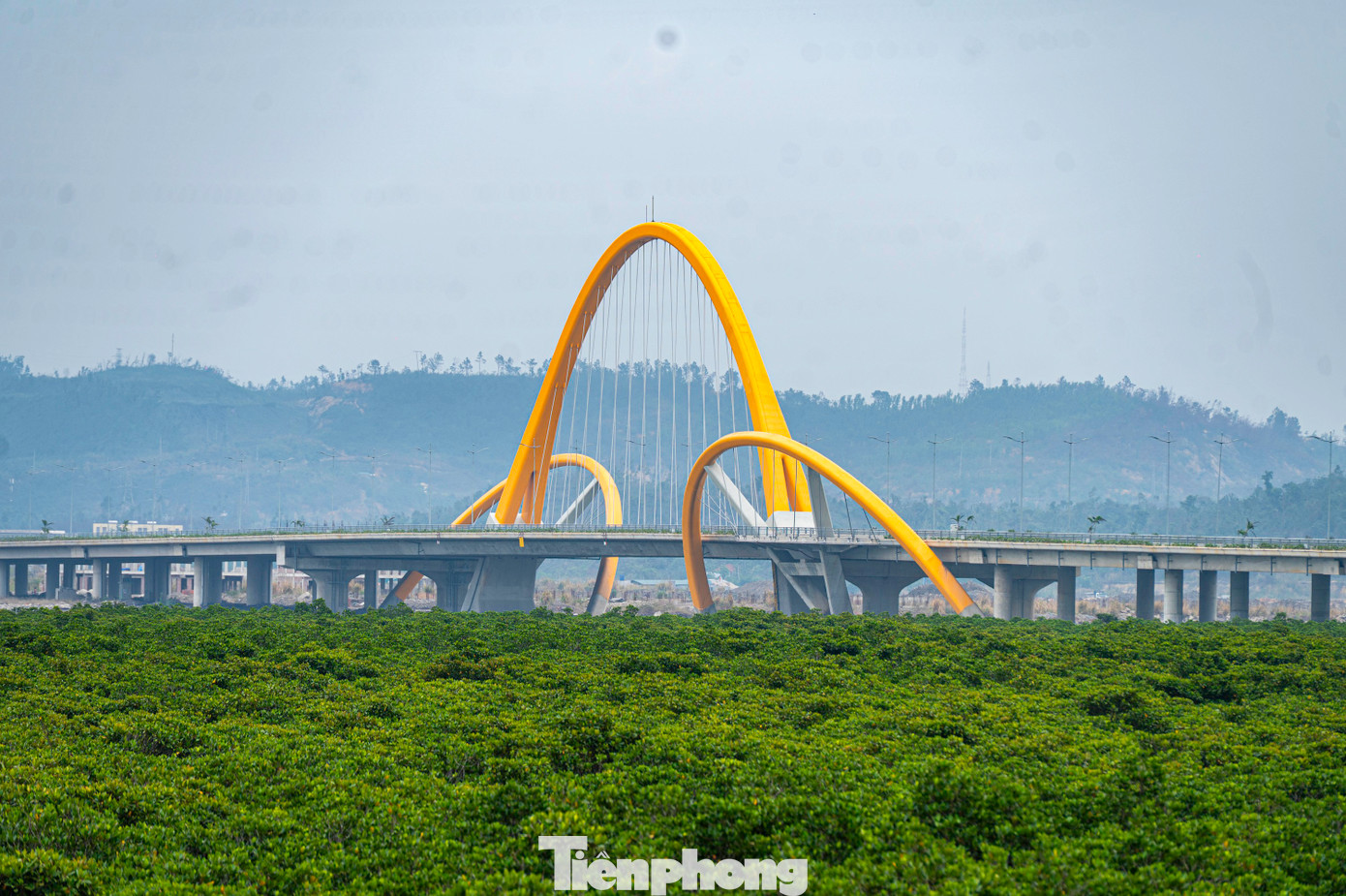 Điều này giúp bảo vệ môi trường bằng cách cơ bản giữ nguyên được hệ sinh thái rừng ngập mặn khu vực và tạo nên cảnh quan độc đáo của cây cầu.