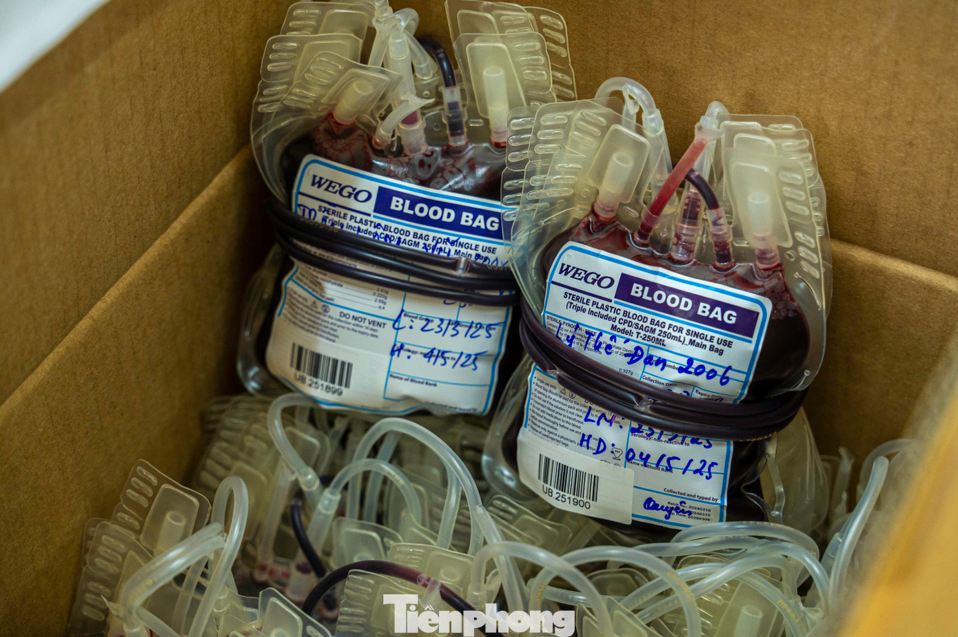 Kết thúc chương trình phát động, Ban tổ chức đã tiếp nhận được 550 đơn vị máu. Những giọt máu tình nguyện sẽ bổ sung kịp thời vào ngân hàng máu dự trữ, cung cấp cho hoạt động cấp cứu và điều trị người bệnh trong các bệnh viện trên địa bàn.