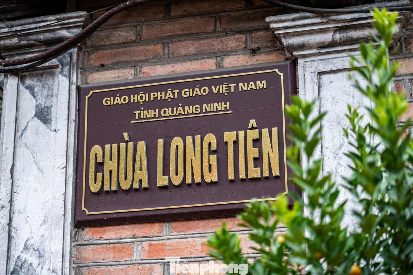 Chùa Long Tiên là ngôi chùa linh thiêng hàng đầu với quy mô lớn tại thành phố Hạ Long. Chùa được xây dựng vào năm 1941, dưới thời vua nhà Nguyễn. Nơi đây thờ thần phật và các vị tướng đã có công với đất nước. Với lịch sử lâu đời cùng giá trị trong đời sống tinh thần của người dân tại đây, chùa Long Tiên là điểm đến thu hút đông đảo khách du lịch gần xa mỗi dịp có cơ hội du lịch đất mỏ.
