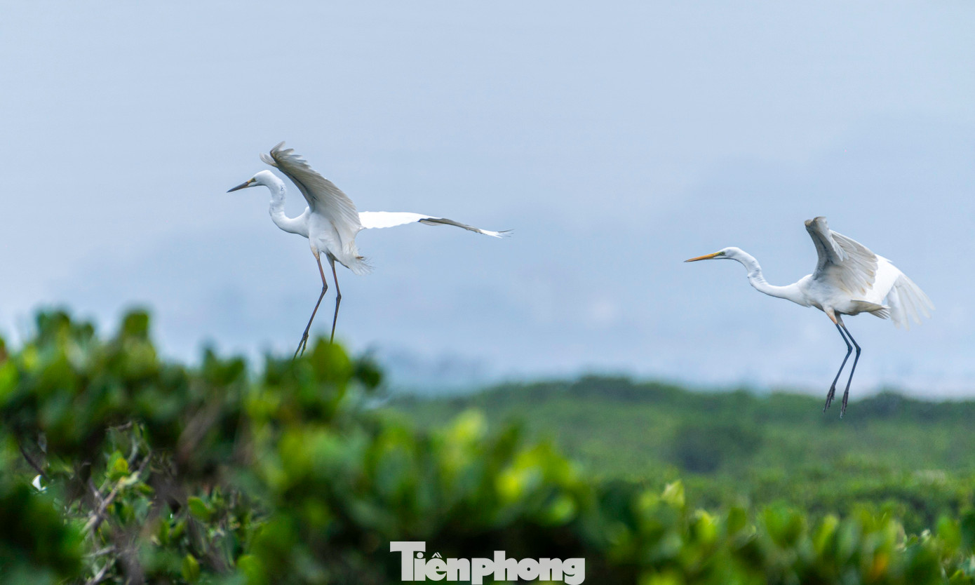 Trong định hướng phát triển, Quảng Ninh luôn coi trọng bảo vệ môi trường, bảo vệ tài nguyên đa dạng sinh học, coi đây là nhiệm vụ mang tính chiến lược, là yêu cầu cấp thiết nhằm đảm bảo các mục tiêu phát triển hiện tại và bền vững trong tương lai.