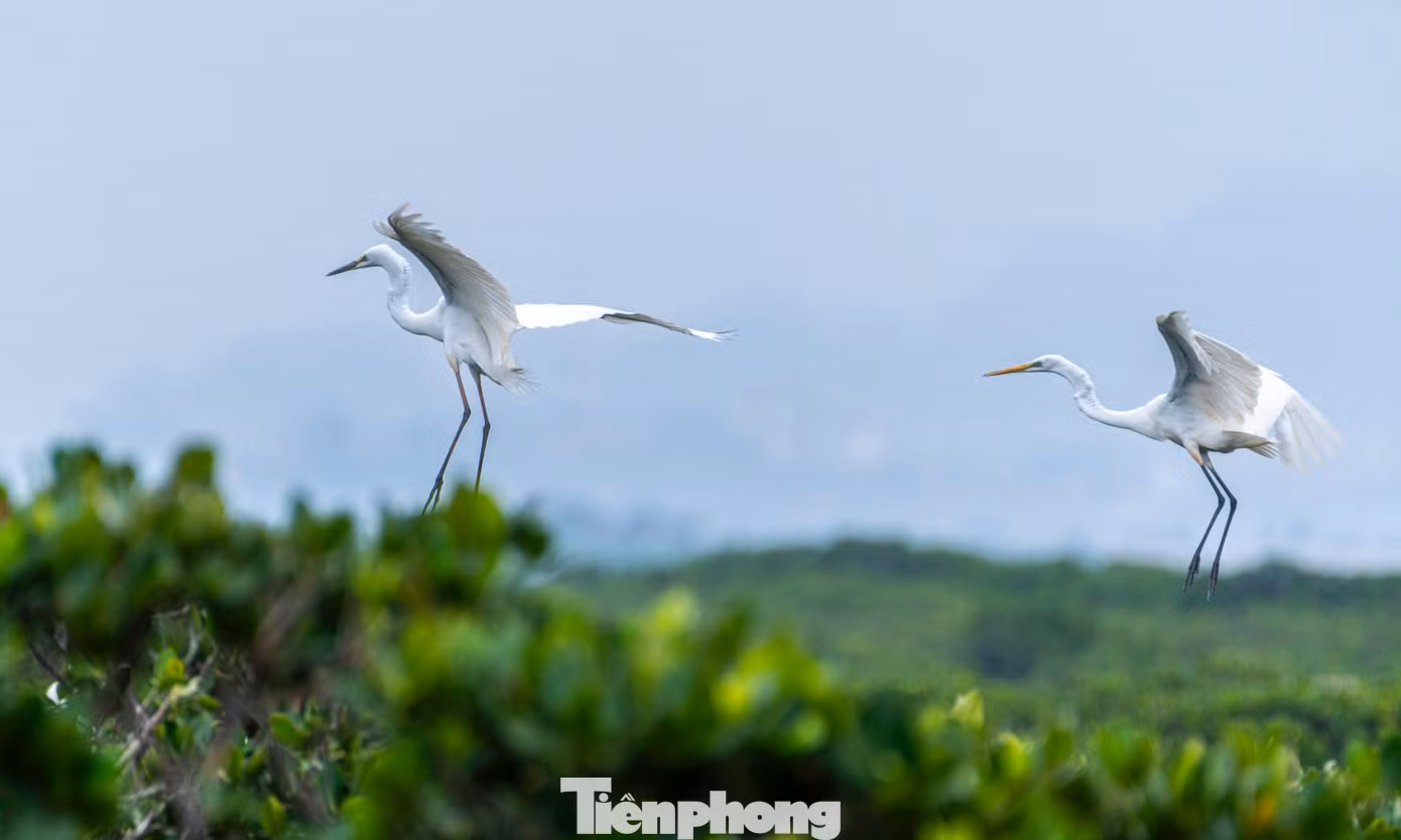Trong định hướng phát triển, Quảng Ninh luôn coi trọng bảo vệ môi trường, bảo vệ tài nguyên đa dạng sinh học, coi đây là nhiệm vụ mang tính chiến lược, là yêu cầu cấp thiết nhằm đảm bảo các mục tiêu phát triển hiện tại và bền vững trong tương lai.