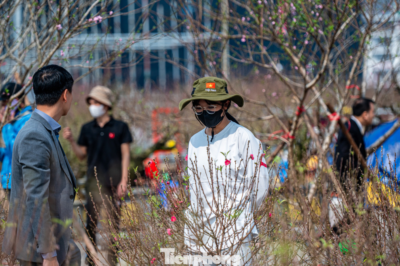 Tuy nhiên, những vườn có cây đào cổ thụ người đến xem và chụp ảnh là chính. Đa số vẫn lựa chọn cây quất cảnh và những cây đào nhỏ để về trưng tết.