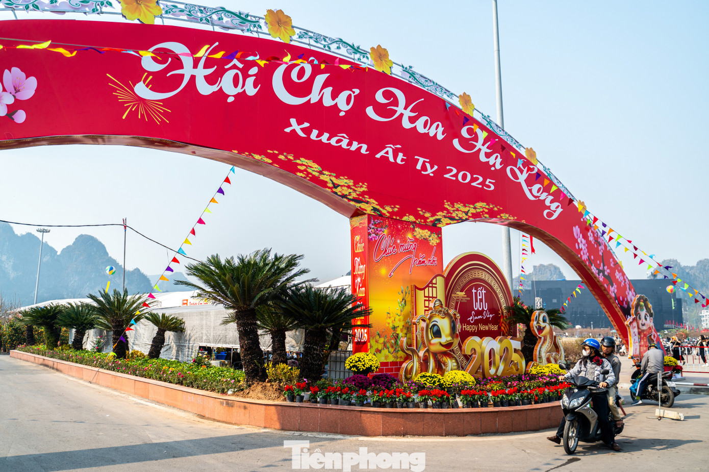 Ghi nhận của báo Tiền Phong, hội chợ hoa Hạ Long năm nay quy tụ khoảng 220 gian hàng để phục vụ người dân thành phố biển, các gian hàng có diện tích 20-25 m2 được chia làm nhiều phân khu chạy dọc từ sân cung quy hoạch, hội chợ triểm lãm tỉnh đến Quảng trường 30/10 nằm ngay cạnh Hội chợ OCOP của tỉnh Quảng Ninh đang diễn ra.