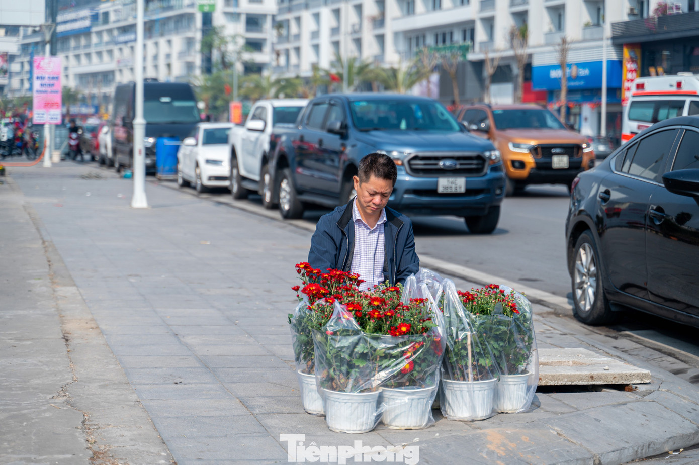 Theo một số tiểu thương bán cây cảnh lâu năm tại hội chợ, năm nay dự báo sức mua sắm sẽ giảm mạnh do người dân thành phố này vừa phải trải qua cơn bão số 3 gây ảnh hưởng nặng nề đến kinh tế.