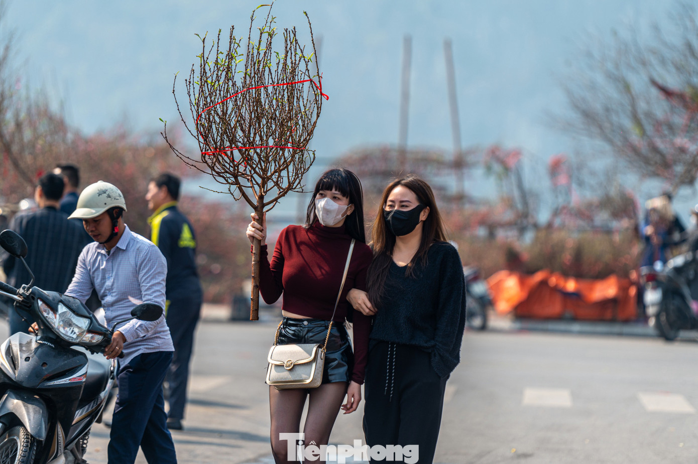 Tuy nhiên, những vườn có cây đào cổ thụ người đến xem và chụp ảnh là chính. Đa số vẫn lựa chọn cây quất cảnh và những cây đào nhỏ để về trưng tết.