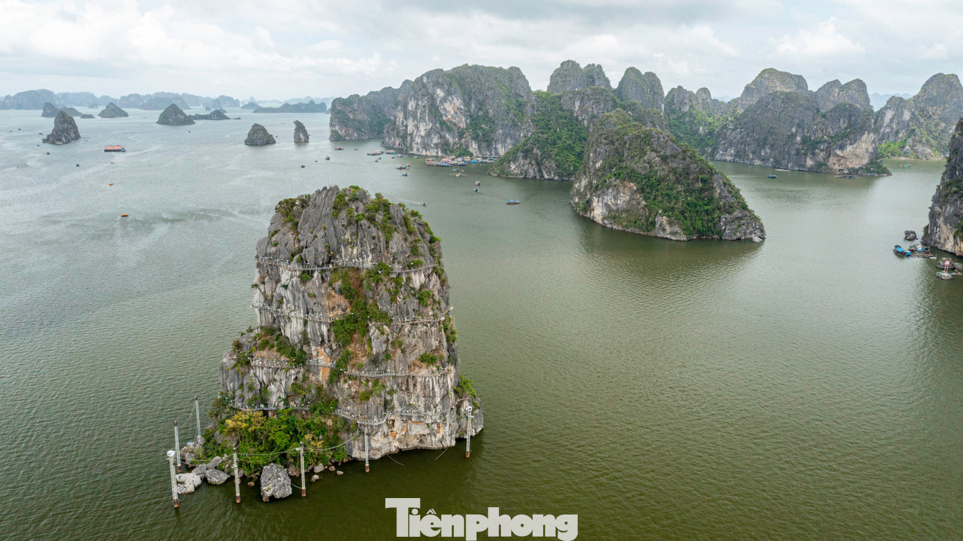 Theo lý giải của TP Hạ Long, Hạ Long là thành phố thủ phủ, là trung tâm kinh tế, chính trị, văn hóa, thương mại, dịch vụ của tỉnh Quảng Ninh; với vịnh Hạ Long được UNESCO công nhận là Di sản thiên nhiên thế giới; là địa phương đối ngoại quốc tế.