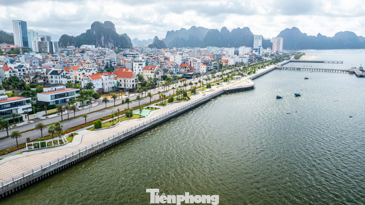 Đây là trung tâm của thành phố Hạ Long, có đường bao biển Hạ Long - Cẩm Phả được mệnh danh đẹp nhất Việt Nam với giá trị chuyển nhượng bất động sản rất cao.