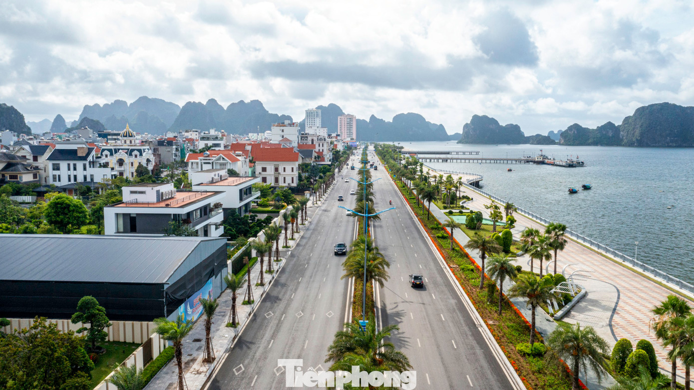 Đây là trung tâm của thành phố Hạ Long, có đường bao biển Hạ Long - Cẩm Phả được mệnh danh đẹp nhất Việt Nam với giá trị chuyển nhượng bất động sản rất cao.
