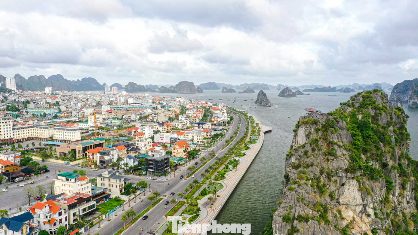Ngay sau khi sáp nhập và thành lập đơn vị hành chính mới mang tên phường Hạ Long (trên cơ sở phường Hồng Hải và Hồng Hà), công tác chuẩn bị và tổ chức đại hội Đảng bộ cơ sở đã được xác định là nhiệm vụ chính trị trọng tâm hàng đầu.