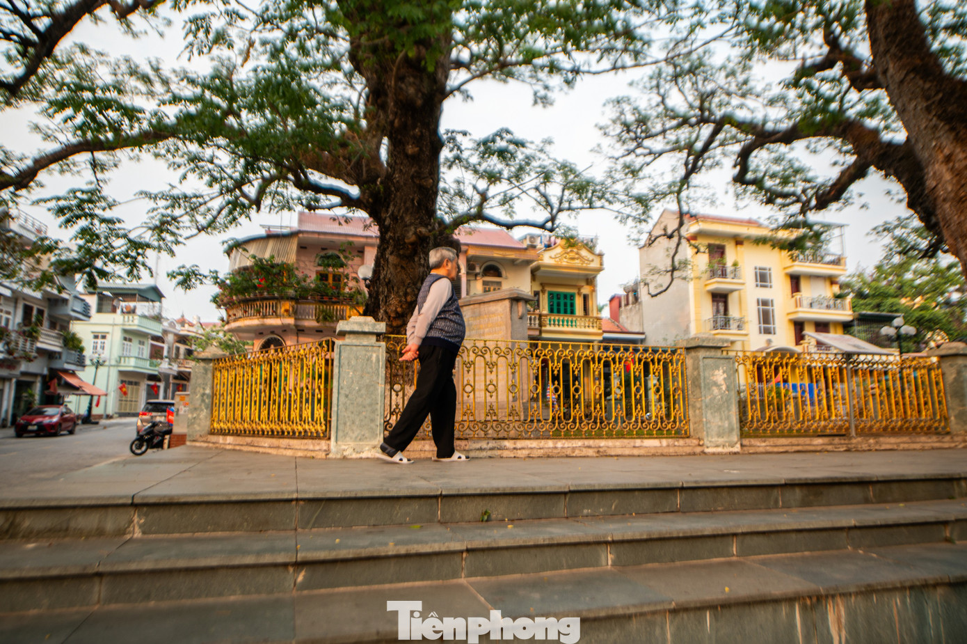 Hai cây lim này là minh chứng còn sót lại của rừng lim năm xưa. Nằm cách di tích bãi cọc Yên Giang, Bạch Đằng và khu Di tích lịch sử quốc gia đặc biệt Bạch Đằng Giang khoảng 2 km, hai cây lim là minh chứng cho hào khí Đông A, thể hiện sự đoàn kết của cả dân tộc Đại Việt.