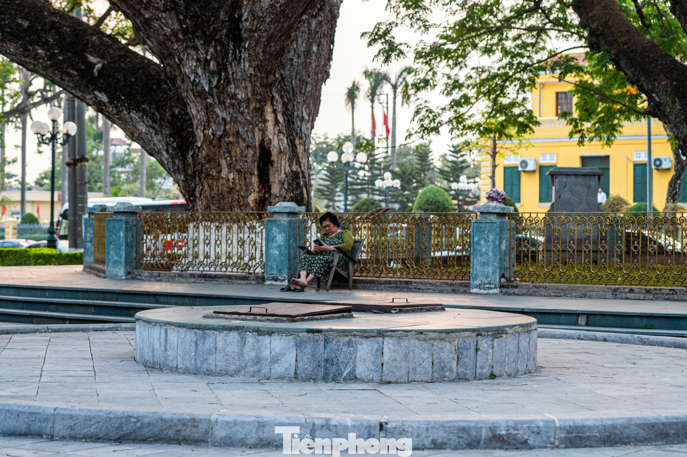 Cùng với việc chính quyền UBND thị xã Quảng Yên cải tạo khuôn viên xung quanh thành công viên cây xanh. Nhờ bóng mát của cây, nơi đây trở thành chỗ sinh hoạt cộng đồng, vui chơi của trẻ nhỏ và là nơi người già tập thể dục mỗi chiều.