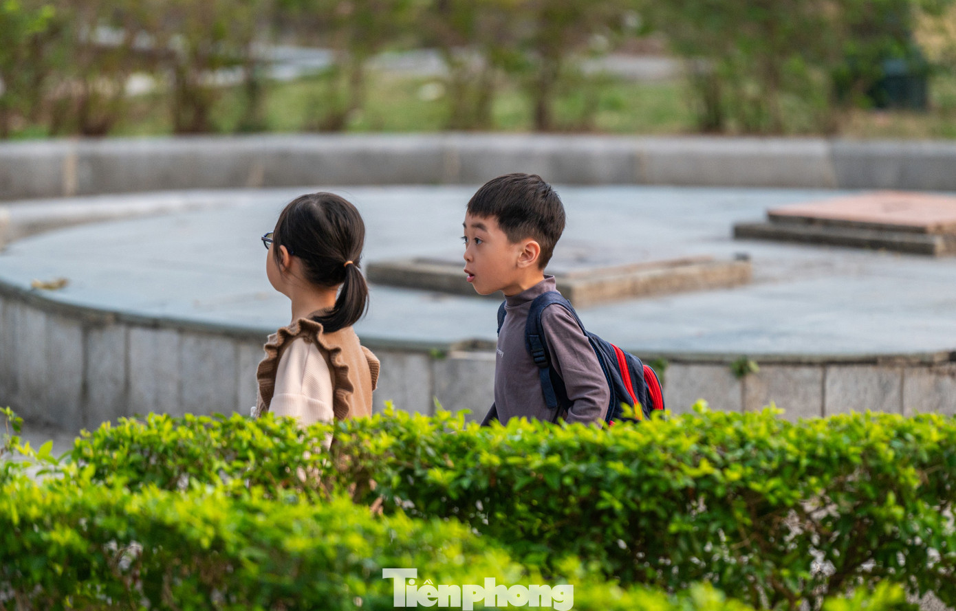 Cùng với việc chính quyền UBND thị xã Quảng Yên cải tạo khuôn viên xung quanh thành công viên cây xanh. Nhờ bóng mát của cây, nơi đây trở thành chỗ sinh hoạt cộng đồng, vui chơi của trẻ nhỏ và là nơi người già tập thể dục mỗi chiều.