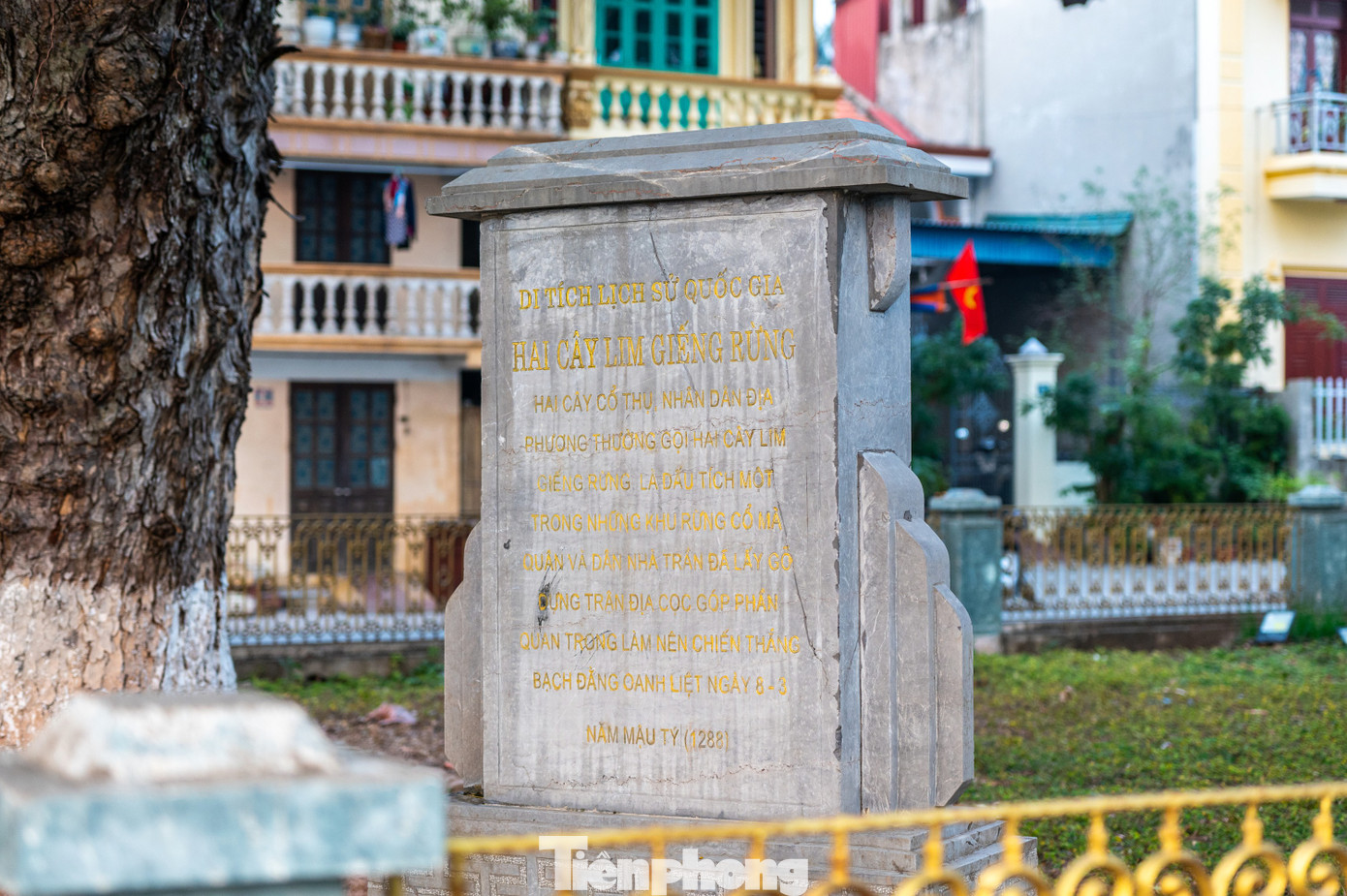 Hai cây lim giếng Rừng được Bộ Văn hóa công nhận là di tích cấp quốc gia năm 1998 và thuộc cụm di tích lịch sử chiến thắng Bạch Đằng. Với những giá trị lịch sử, văn hóa và khoa học đặc biệt của khu di tích, ngày 27/9/2012, Thủ tướng quyết định xếp hạng Khu di tích lịch sử chiến thắng Bạch Đằng năm 1288 là di tích quốc gia đặc biệt.