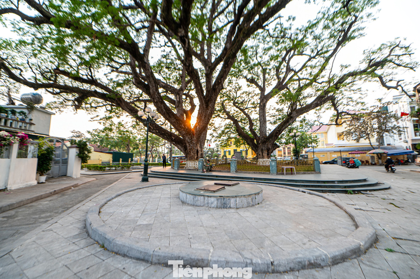 Bên cạnh hai cây lim cổ có hai giếng nước được xây từ thời Pháp, gắn liền với đời sống sinh hoạt của người dân nơi đây. Hiện hai giếng được xây xung quanh, lát gạch sạch sẽ và có nắp đậy. "Nước ở hai giếng ngọt, sạch sẽ, trước đây phục vụ sinh hoạt cho cả khu dân cư. Nhưng bây giờ nhà nào cũng có nước máy nên ít người còn lấy nước giếng. Hai cây lim phát triển tốt cũng nhờ có hai giếng cung cấp nước tưới cây", một người dân sống gần đó cho biết.