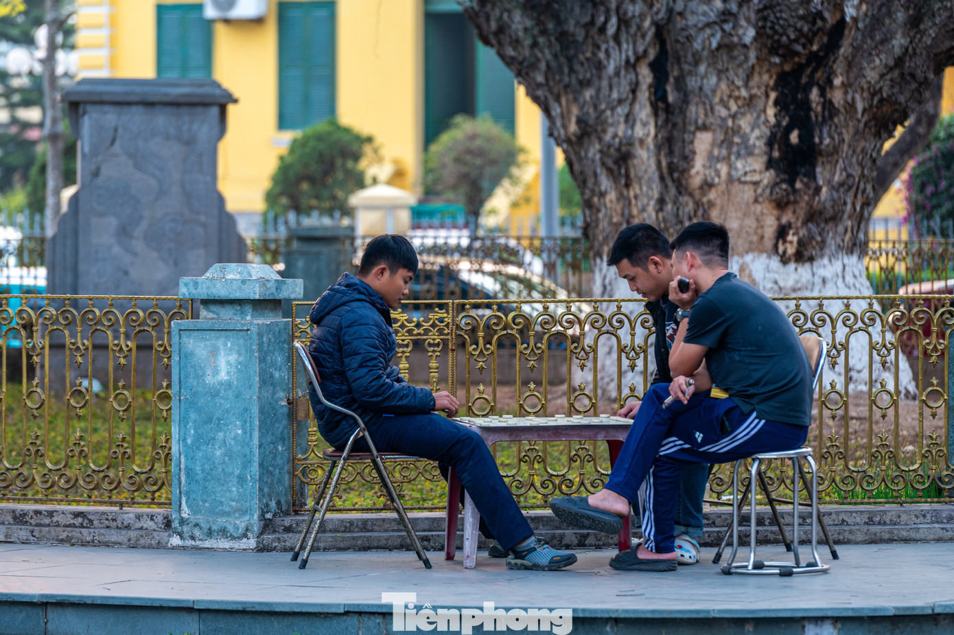 Cùng với việc chính quyền UBND thị xã Quảng Yên cải tạo khuôn viên xung quanh thành công viên cây xanh. Nhờ bóng mát của cây, nơi đây trở thành chỗ sinh hoạt cộng đồng, vui chơi của trẻ nhỏ và là nơi người già tập thể dục mỗi chiều.