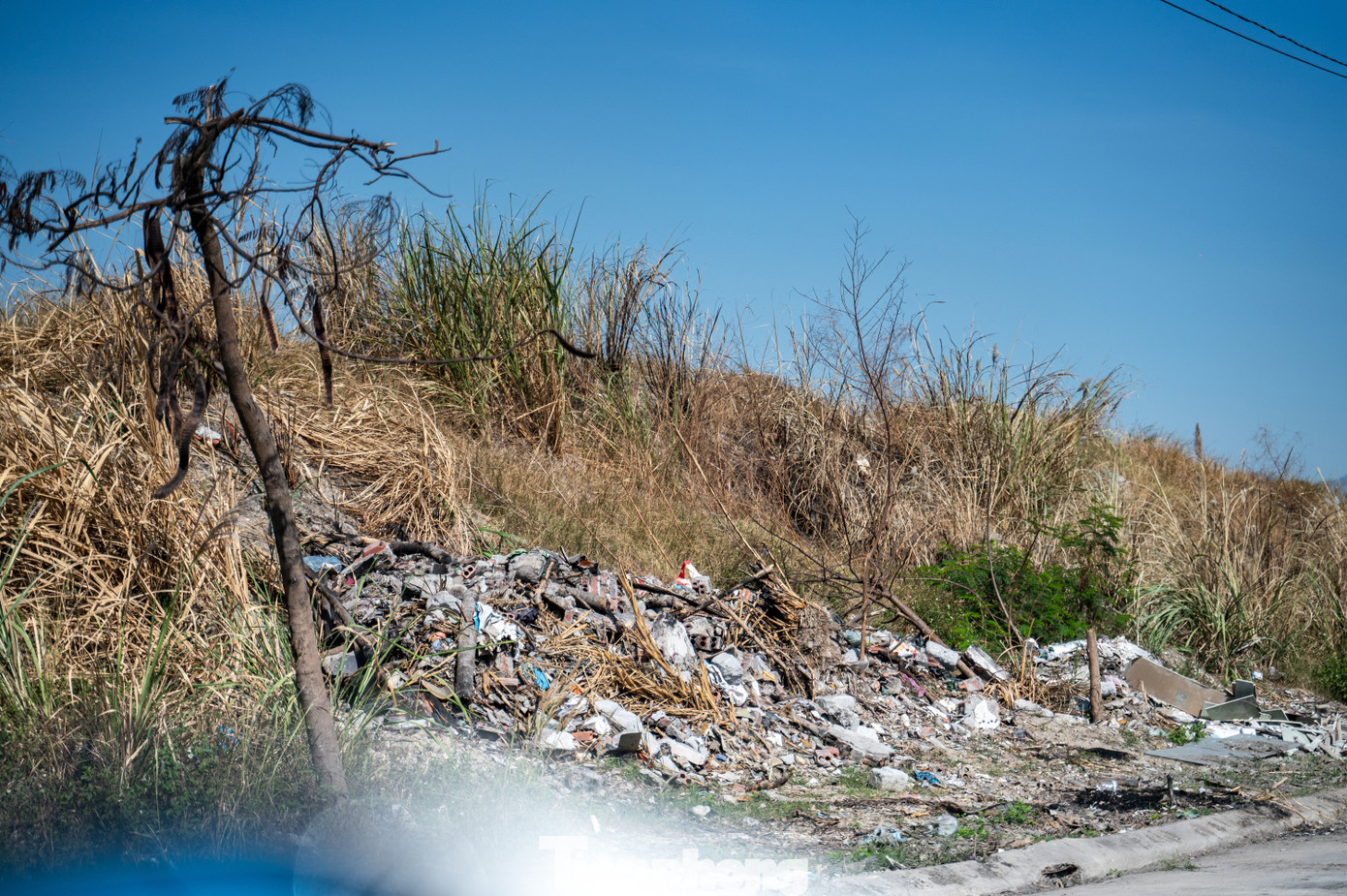 Rác thải chất thành đống nằm giữa những bụi cỏ dại mọc cao quá đầu người.