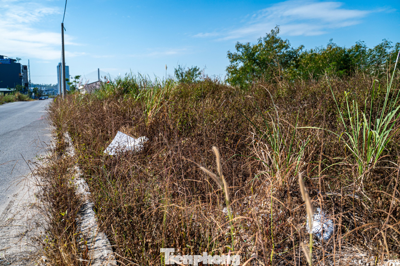 Chị Nguyễn Thị Phương, trú phường Cao Xanh, cho biết chị thường đi làm về qua đây, thỉnh thoảng vẫn gặp các phương tiện cả xe máy, ô tô các loại chở rác thải ra đổ trộm tại đây.