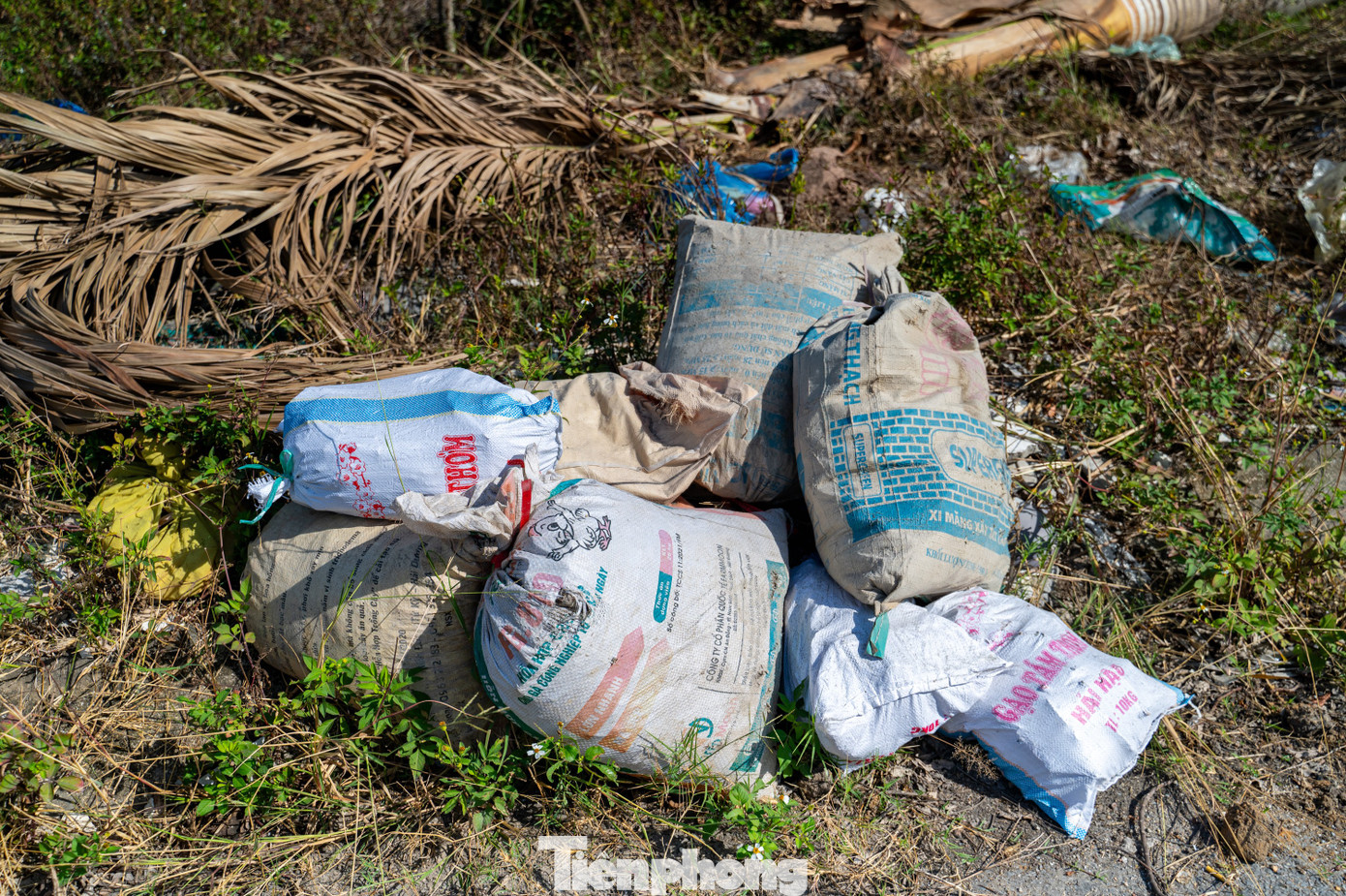 Thậm chí rác thải sinh hoạt, động vật chết đổ tràn lan ra đường bốc mùi hôi thối.