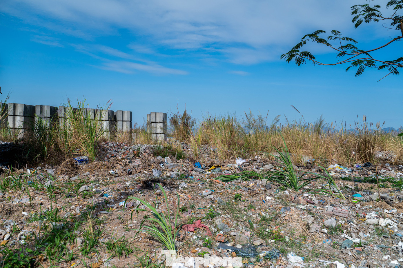 Ghi nhận của PV báo Tiền Phong tại một số khu vực thuộc Khu đô thị lấn biển Hà Khánh A mở rộng, hiện tượng đổ trộm chất thải, phế thải xảy ra rất phổ biến ở ven đường, bãi đất trống chưa có người ở.