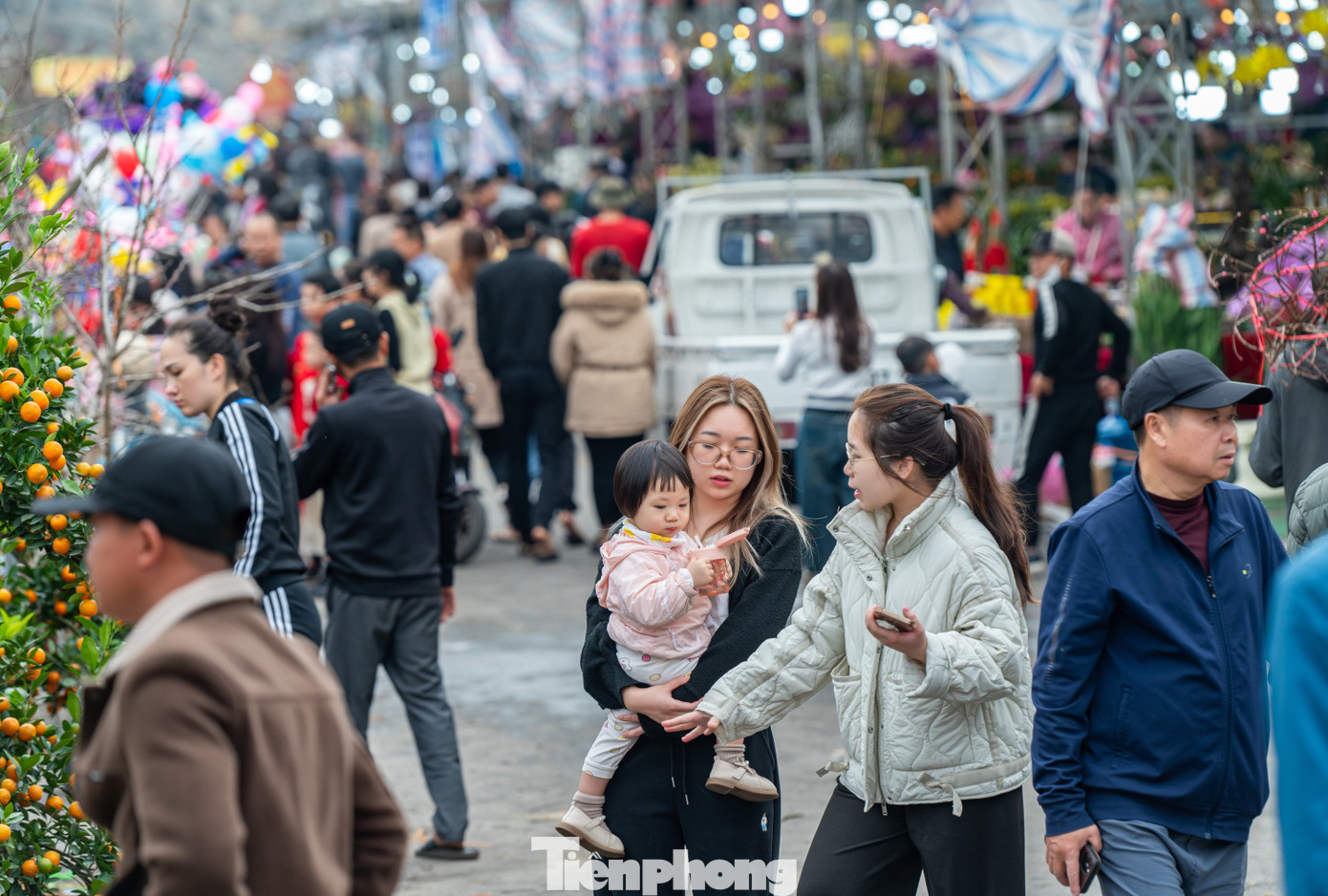 Những ngày cuối năm, chợ hoa xuân lớn nhất TP Hạ Long tại quảng trường 30 tháng 10 (phường Hồng Hải, TP Hạ Long, tỉnh Quảng Ninh) nhộn nhịp người mua cây cảnh về chơi Tết.